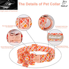 Babole Pet nickel-free buckle closeup for secure wear.
