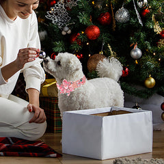 Babole Pet quick-release buckle with sturdy D-ring for secure leashing