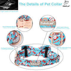Babole Pet blue holiday collar ideal for photos and festive gatherings.