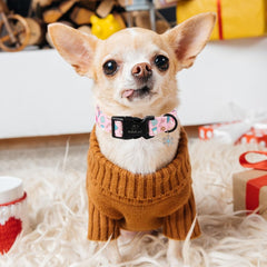 Babole Pet soft cotton adjustable collar XL on a large dog for gentle fit