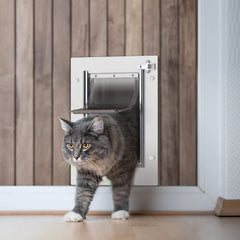 Baboni pet door telescoping-tunnel demonstrates adjustable fit for various wall thicknesses.