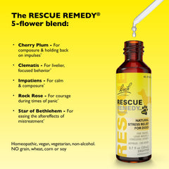 Bach Rescue Remedy Pet Packaging Box shown for convenient, ready-to-use calming support.