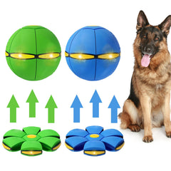 BADWALT dog flying-disc ball for active fetch and glowing nighttime visibility.