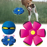 BADWALT FlidRunest front-view highlights dual shapes for interactive play