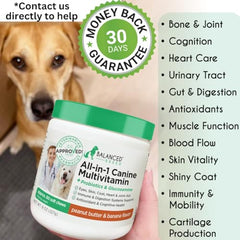Balanced Breed dog vitamins label closeup highlights ingredients for skin, coat, and immune support.