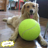 Banfeng Big Tennis Ball for Dogs—yellow 9.5-inch ball, with a high-visibility bounce for outdoor fetch.
