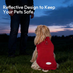 BAOBICUTE pullover dog sweater designed for easy on/off wear