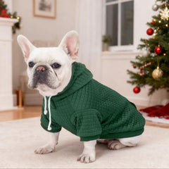 Baobicute two-pack dog hoodie in wine red enhances style and chilly-day comfort