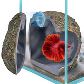 BaoZqua 3rd-Gen magnetic aquarium cave close-up shows strong hold for stable viewing