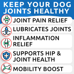 BARK&SPARK bottle with chews for easy daily use and joint support.