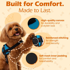 Bark Appeal Aqua Blue Harness with reflective border for safer night walks.