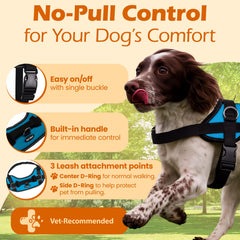 Bark Appeal Aqua Blue No-Pull Harness front clip highlighting three-point control for easier training.