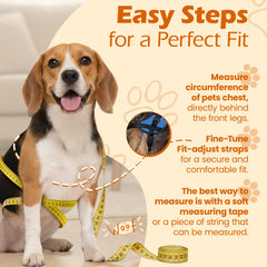 Bark Appeal Aqua Blue No-Pull Harness features reflective border enhancing visibility at night.