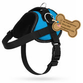 Bark Appeal Aqua Blue No-Pull Harness side view with adjustable fit for comfortable daily walks.