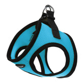 Bark Appeal aqua-blue-step-in-harness demonstrates a secure, comfortable fit for everyday walks.