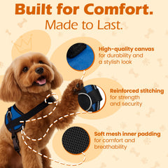 Bark Appeal blue harness with three leash clips for flexible control during activities
