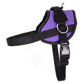 Bark Appeal purple no-pull harness front view with adjustable fit for training