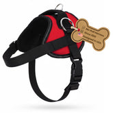Bark Appeal red no-pull harness worn by dog during a walk for improved control.