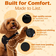 Bark Appeal reflective vest enhances night visibility for safety