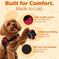 Bark Appeal reflective vest aids visibility for safer night walks with your dog.