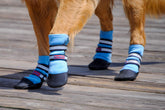 Bark Brite neoprene paw boots side view show lightweight protection for hikes.