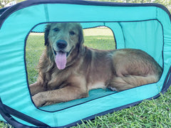 Bark Brite packable travel crate collapsed design saves space in vehicles