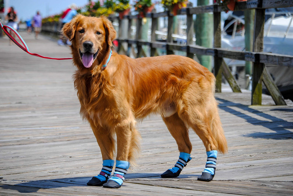 Bark Brite paw boots blue closeup sole shows traction and lightweight protection