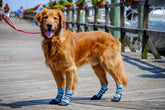 Bark Brite paw boots blue closeup sole shows traction and lightweight protection