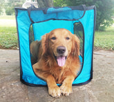 Bark Brite Pop Open Collapsible Travel Crate large setup for quick travel readiness