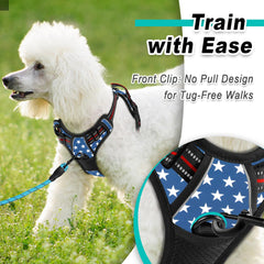 BARKBAY Breathable-mesh harness for small dogs improves comfort on long walks.