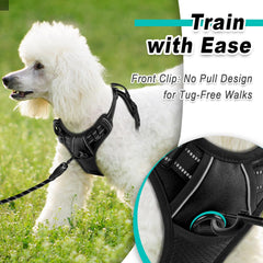 BARKBAY adjustable strap system provides a snug, secure fit for growing small dogs.