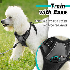 BARKBAY adjustable straps ensure a secure, snug fit for small dogs