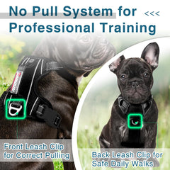 BARKBAY No-Pull Harness with reflective strips for safer evening walks.