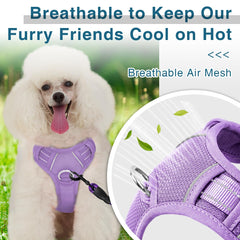 BARKBAY No-Pull harness top handle for extra control during training.