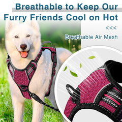 BARKBAY harness top-handle feature enables quick gentle intervention when needed.