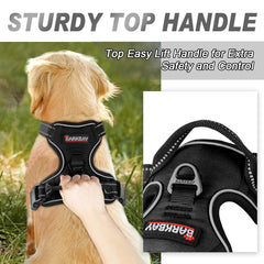 BARKBAY harness with reflective strips enhances visibility for night walks.