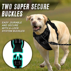 BARKBAY harness top-easy lift handle offers extra safety during training.