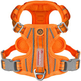 BARKBAY no-pull harness with orange ID pocket offers calmer walks.