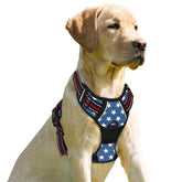 BARKBAY No Pull Harness front clip for safer, controlled walks at street crossings.