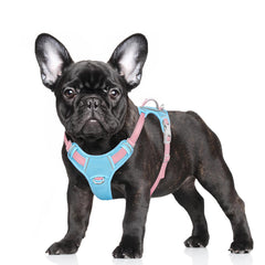 BARKBAY No Pull Harness front view for improved control during training walks
