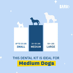 BarkBox Bright breath freshening effect offers a pleasant daily refresh for dogs