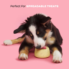BarkBox Cinamutt Roll grooves for treats fosters problem-solving and engagement