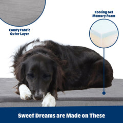 Barkbox Orthopedic Bed medium 29x18 closeup demonstrates size fit for medium dogs.