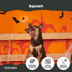 BarkBox Squash cream-scented close-up adds inviting scent during interactive chewing.