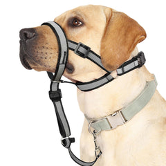 BARKLESS arnés cabeza reflectante para perro grande mejora visibilidad y manejo durante caminatas