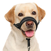 BARKLESS collar de cabeza suave frente muestra control cómodo para paseos