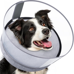 BARKLESS dog donut collar inflatable setup demonstrates secure fit for post-op healing