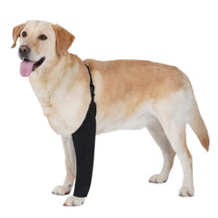 BARKLESS front-leg sleeve closeup showing secure bandage protection and soft fabric.