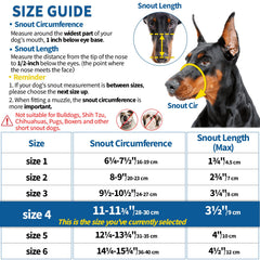 BARKLESS muzzle on dog portrait demonstrates lightweight, comfortable fit for daily walks.