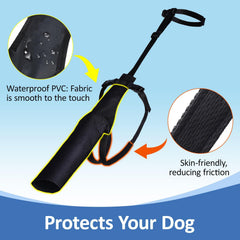 BARKLESS secure harness and padded straps prevent slipping during movement.